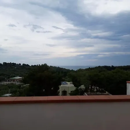 Melograno 2